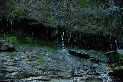 DSC_2793 (Large).JPG